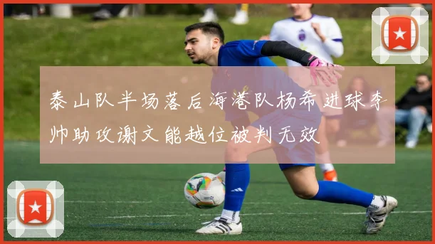泰山队半场落后海港队杨希进球李帅助攻谢文能越位被判无效